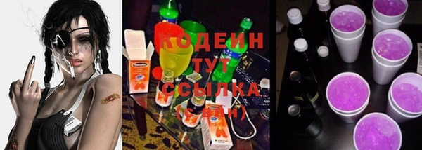 мдпв Осинники